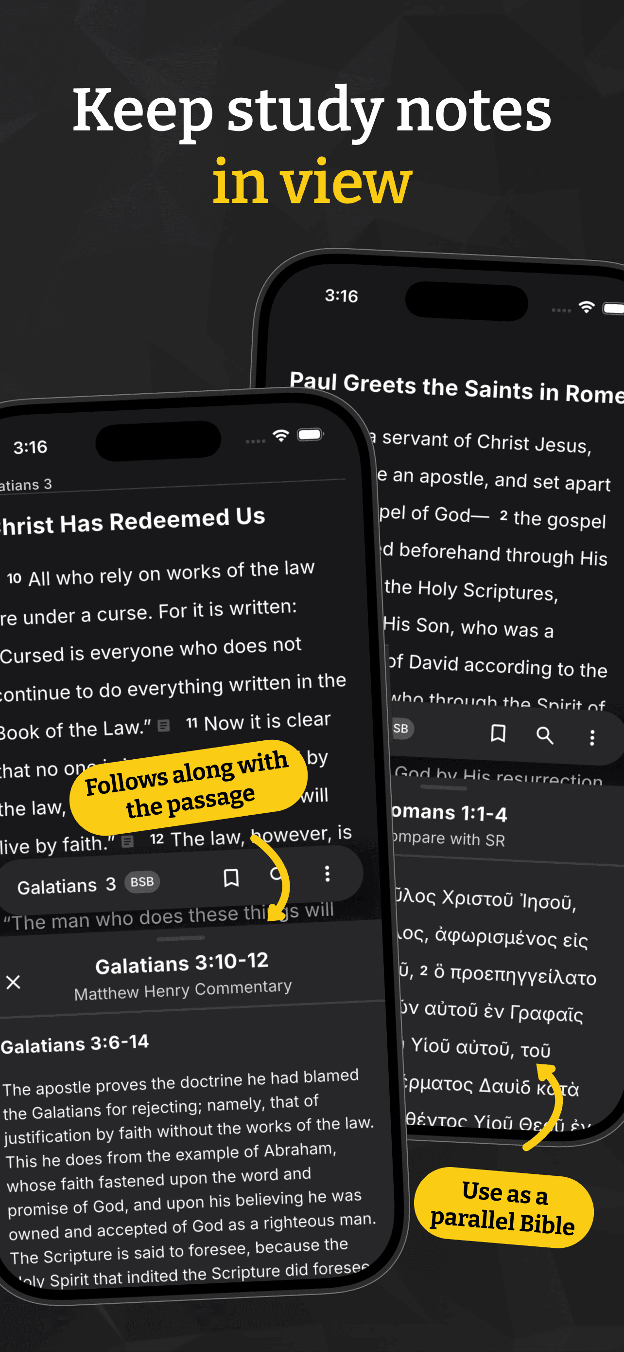 Lux Bible study panels