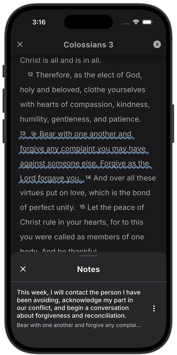 An application note on Colossians 3:13 and annotations filtered by the Application style in Lux