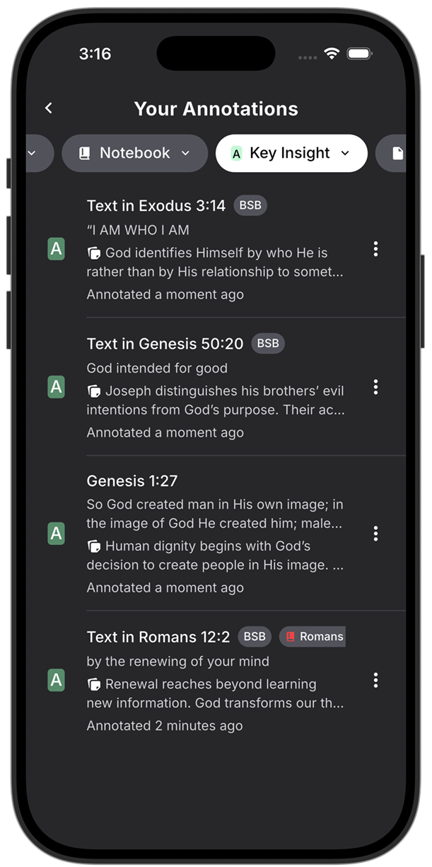 A Key Insight note on Romans 12:2 and annotations filtered by the Key Insight style in Lux